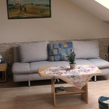 Apartment Laurence Hanau Екстер'єр фото